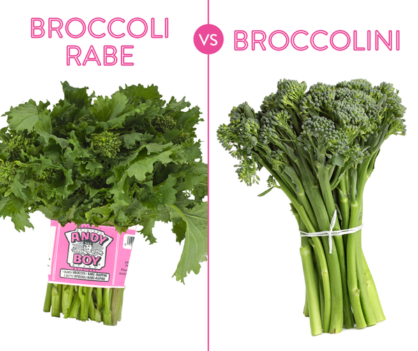 Is broccolini the same as broccoli rabe? No they are different when compared side-by-side in this broccolini vs broccoli rabe picture. 